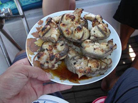 BBQ-Shark